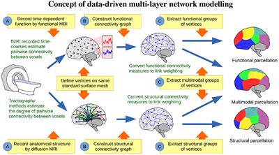 Uncovering Cortical Units of Processing From Multi-Layered Connectomes